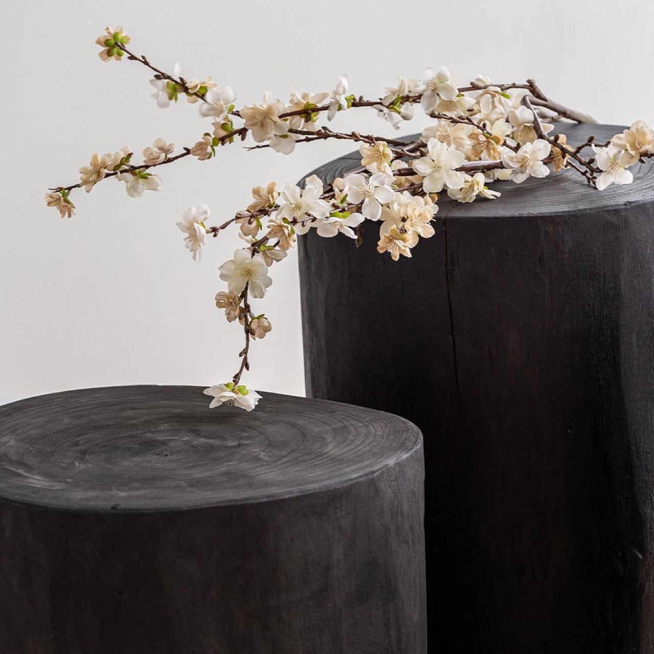 Nova Wide 16" Stump - Round - Black